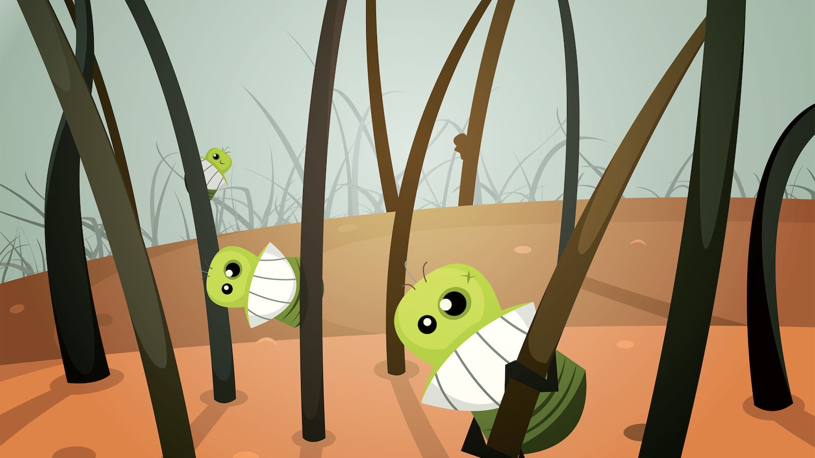 articles/2015/08/26/is-super-lice-coming-for-your-kids/150825-saunders-super-lice-tease_s3flb5