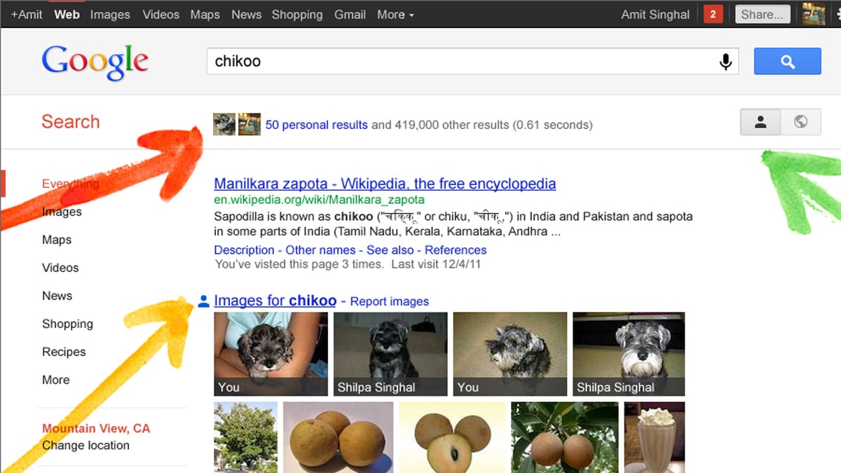 articles/2012/01/12/google-attempts-to-take-down-facebook-with-search-plus-your-world-feature/google-personal-search-lyons-tease_zg5f4f