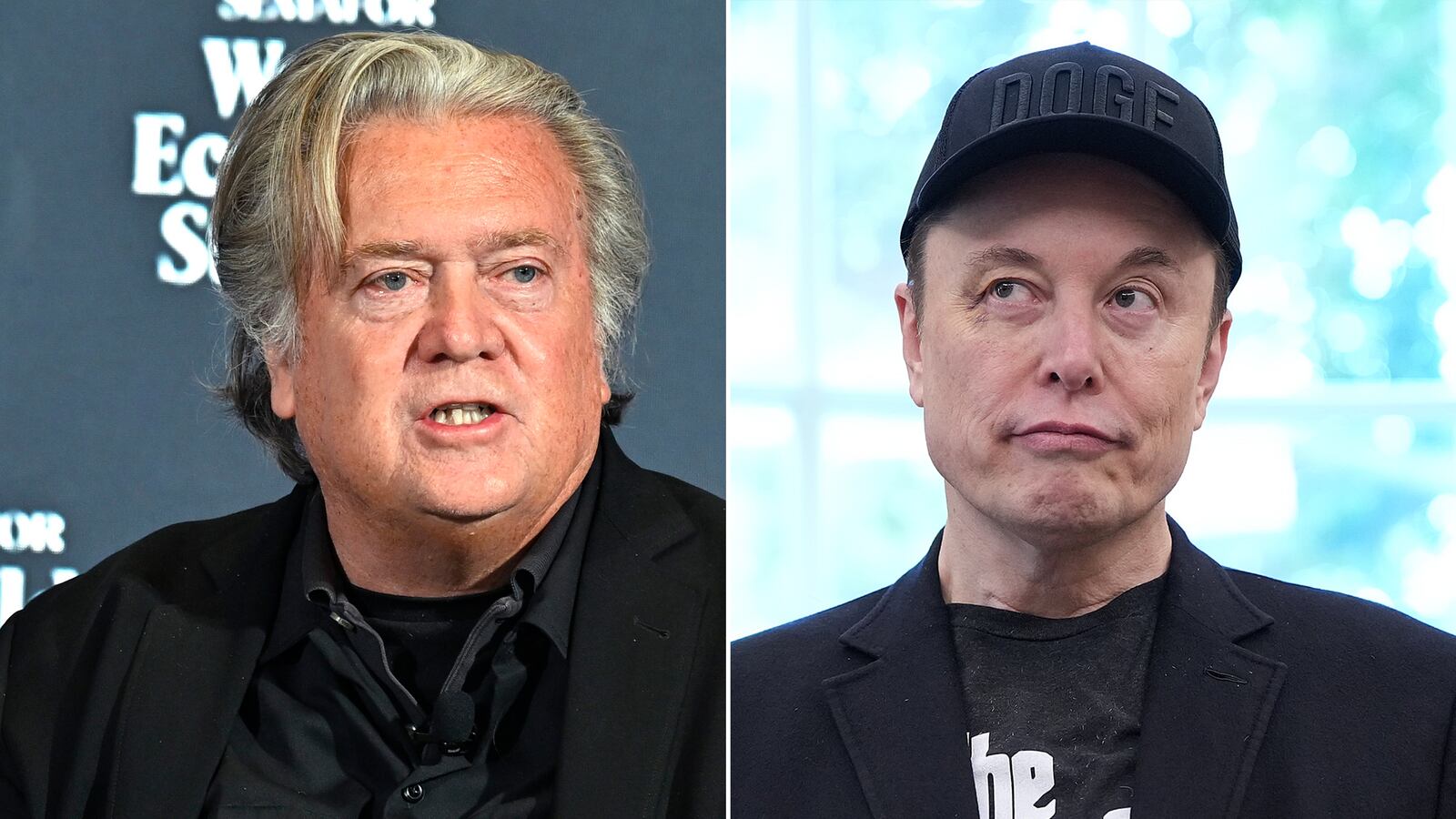 Steve Bannon and Elon Musk