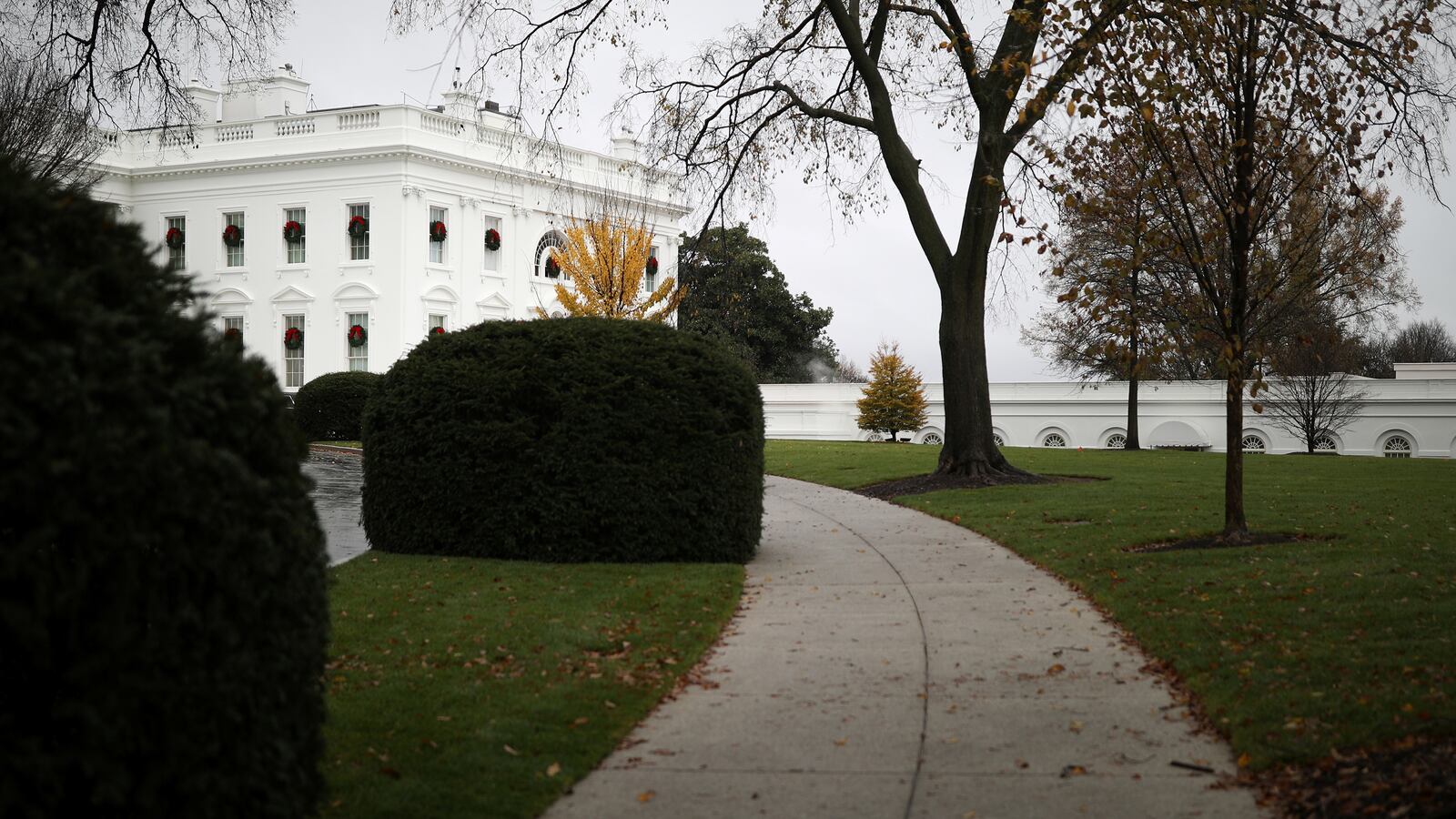 120220-mary-trump-book-cheat_o7isrx