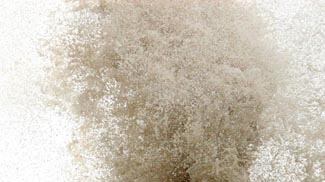 cheats/2009/08/09/typhoon-hits-chinarsquos-coast/china-typhoon_42590_oo6afl