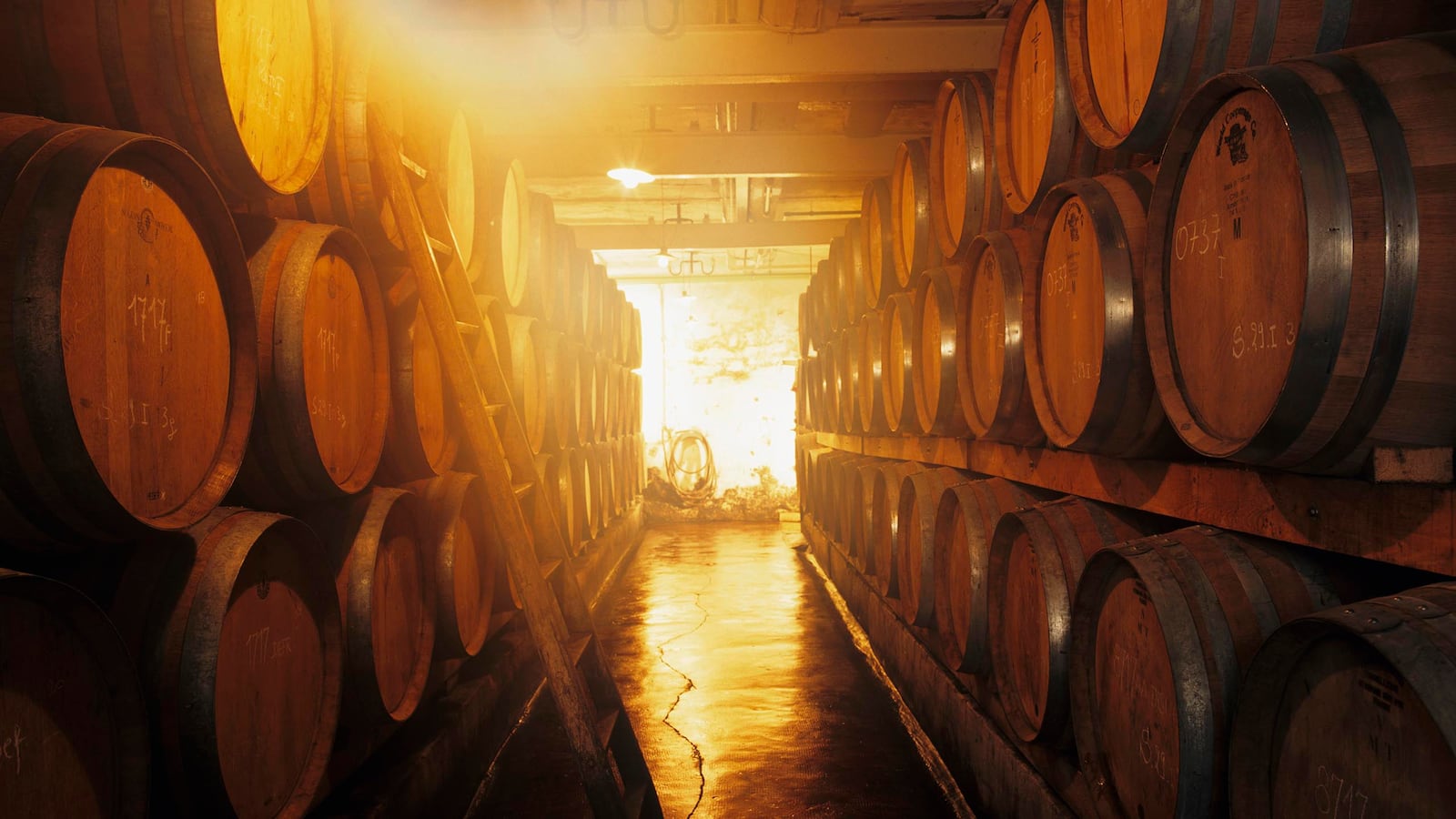 180817-rothbaum-distillery-tease_cbflis