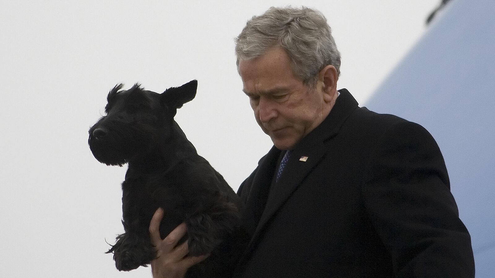cheats/2013/02/02/beloved-former-first-pup-barney-dies/1302020-bush-barney-obit-cheat_fxtpqu