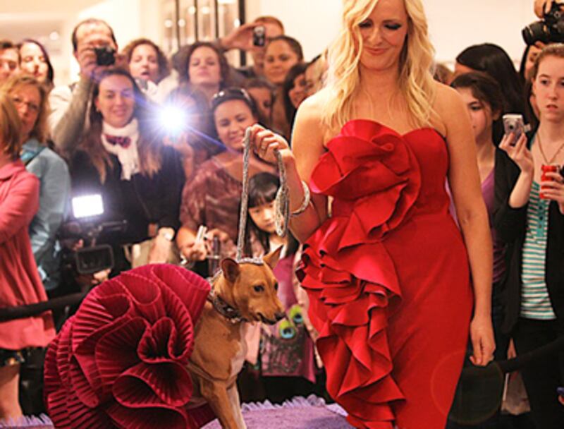 articles/2010/09/11/fashions-night-out-did-shoppers-spend-a-dime/fno_125993_wogqym