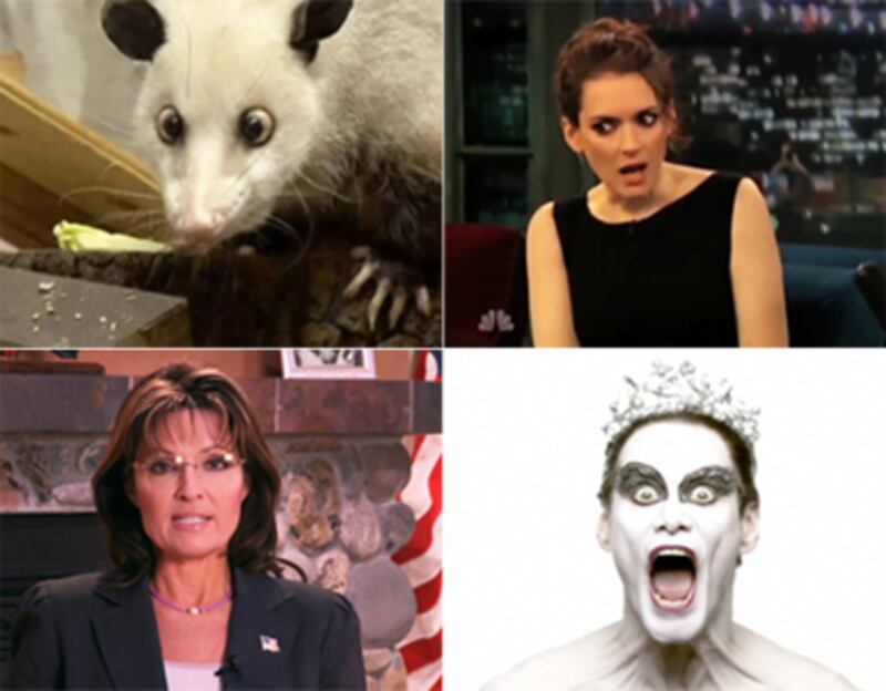 articles/2011/01/14/heidi-the-cross-eyed-opossum-palin-blood-libel-and-more-viral-videos/week-in-viral--2_152864_eoahfd