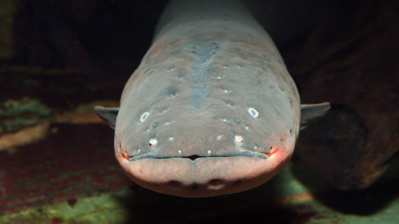 GettyImages-551024547_cjo84q