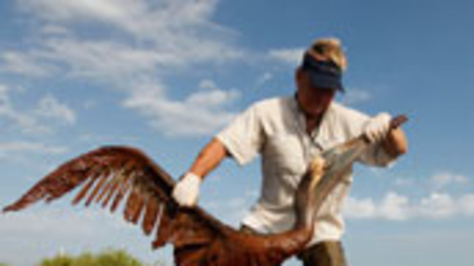 articles/2010/06/20/congressional-critics-of-bp-hypocritically-took-big-oil-money/sarlin-bp-oil_108322_csxnft