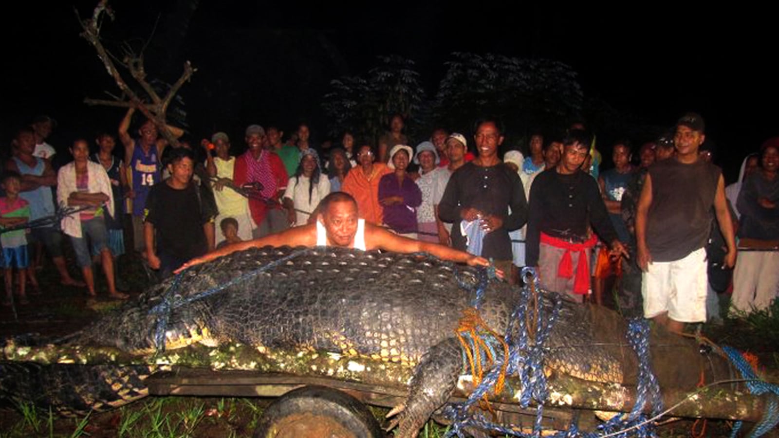 cheats/2011/09/06/21-foot-croc-caught-in-philippines/giant-crocodile-philippines-cheat_ly6ib3