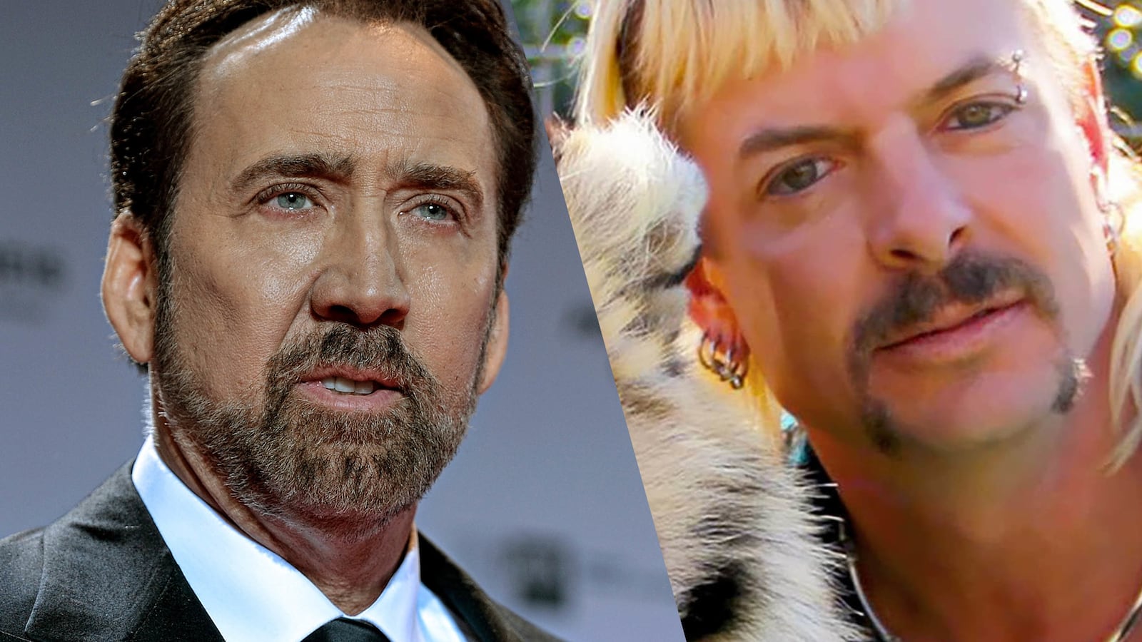 200504-bradley-tiger-king-tease2_hw8t3c