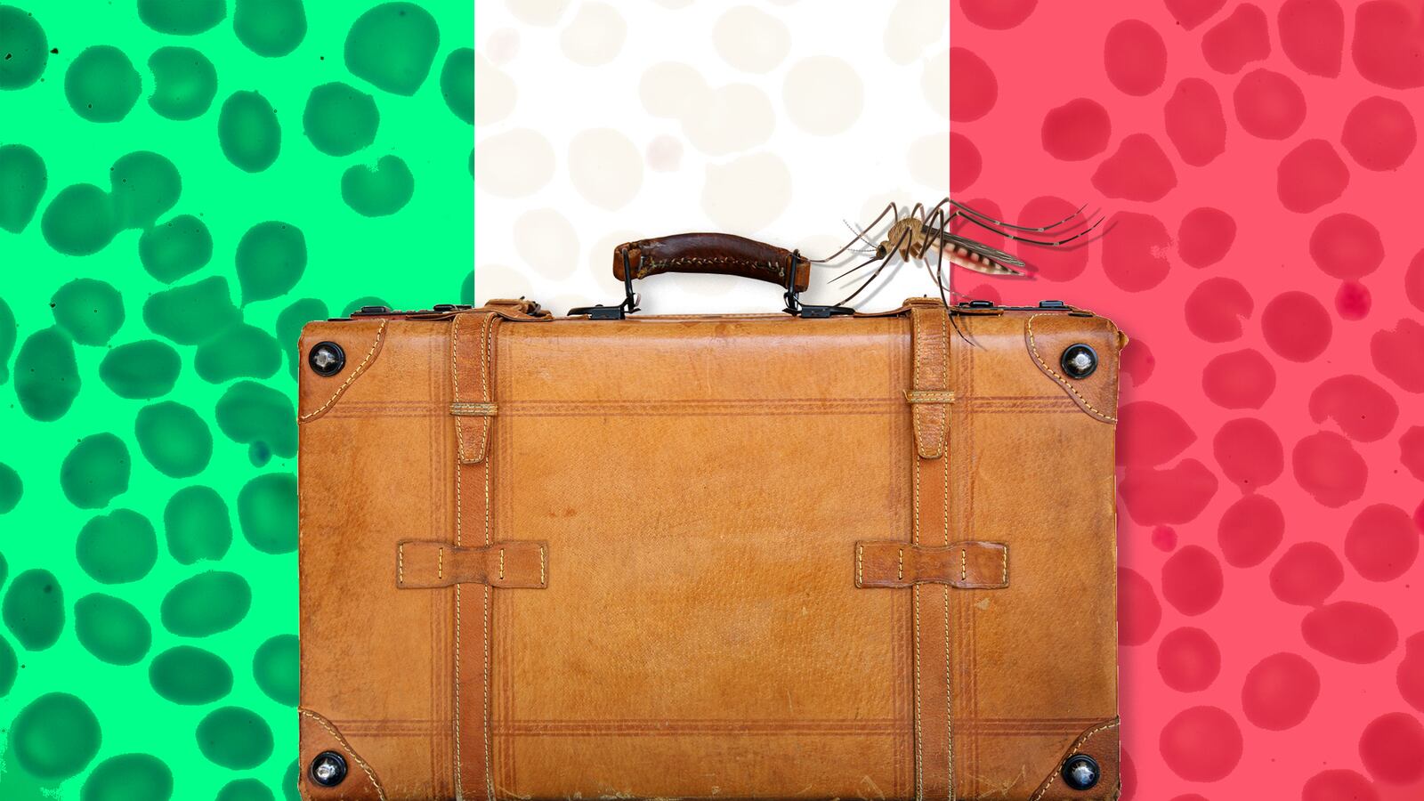 170906-nadeau-italy-malaria-hero_quowxn