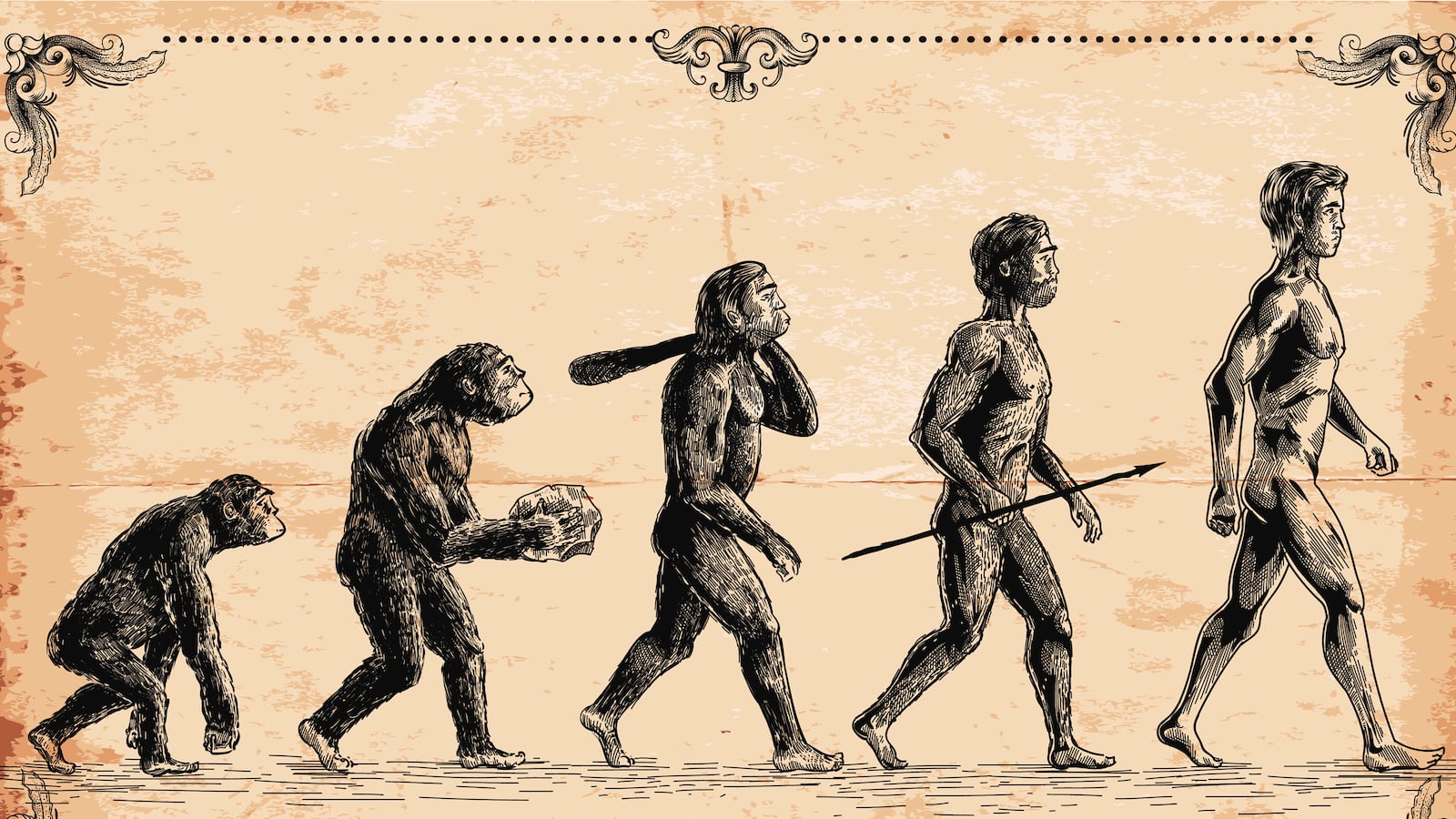 articles/2014/06/01/the-crazy-way-creationists-try-to-explain-human-tails-without-evolution/140530-giberson-evolution-tease_yrysj9