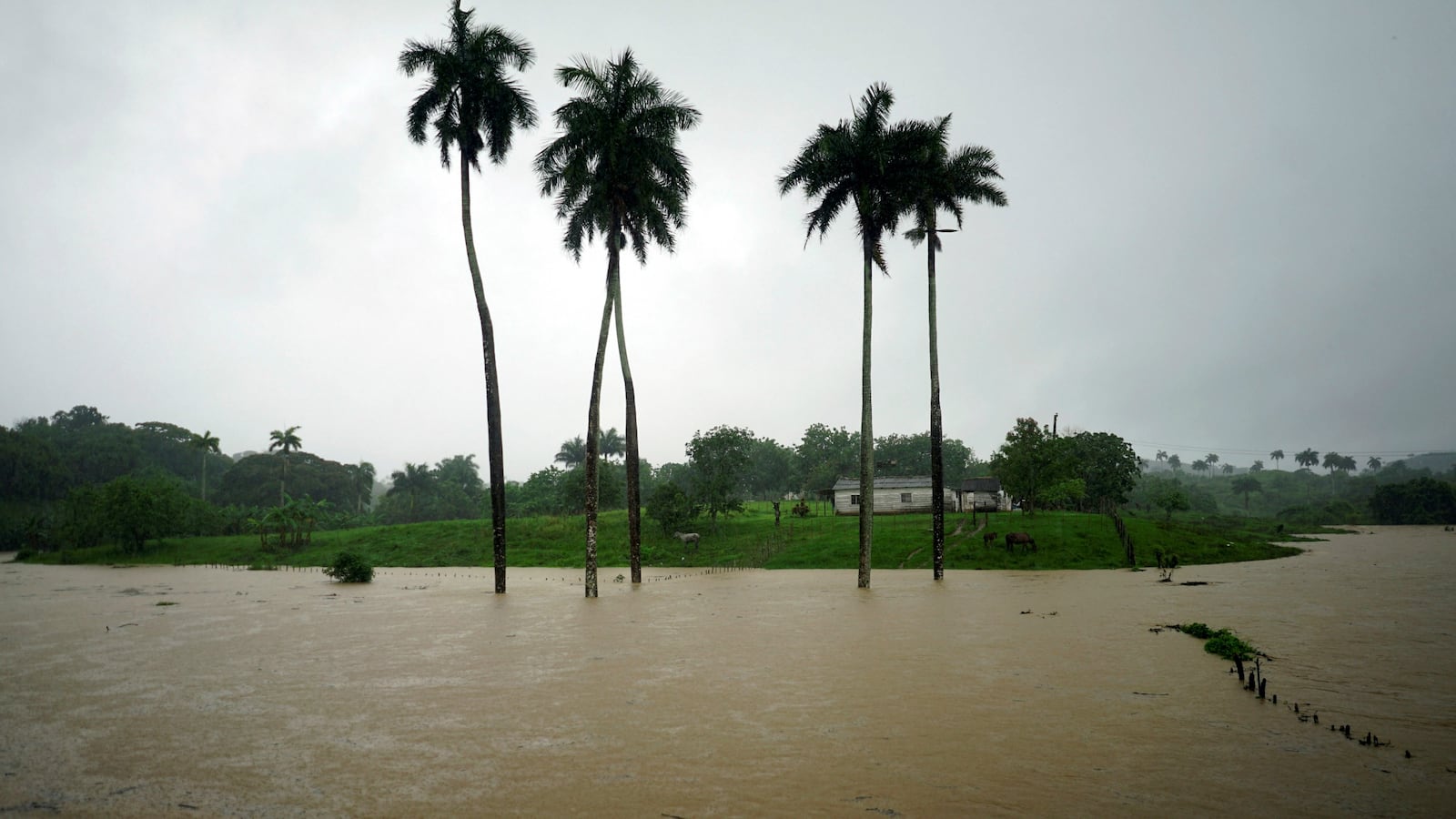 180527-storm-alberto-southeast-warnings-cheat_ilu9sf