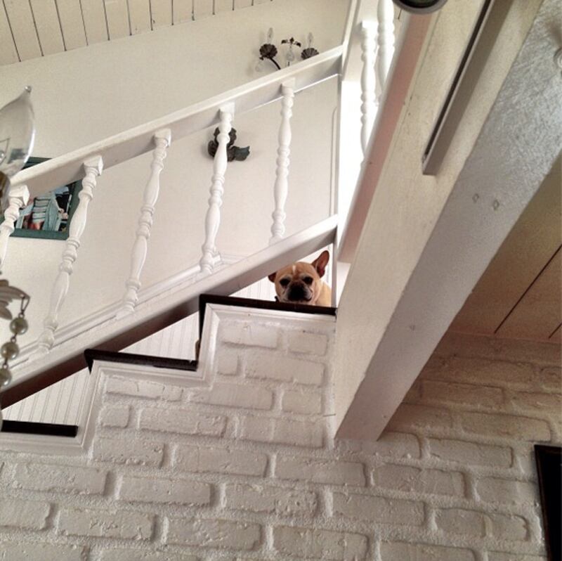 galleries/2013/01/27/alicia-keys-sofia-vergara-more-celebrity-twitter-pictures-photos/130124-jenner-twitpics_vffv9h