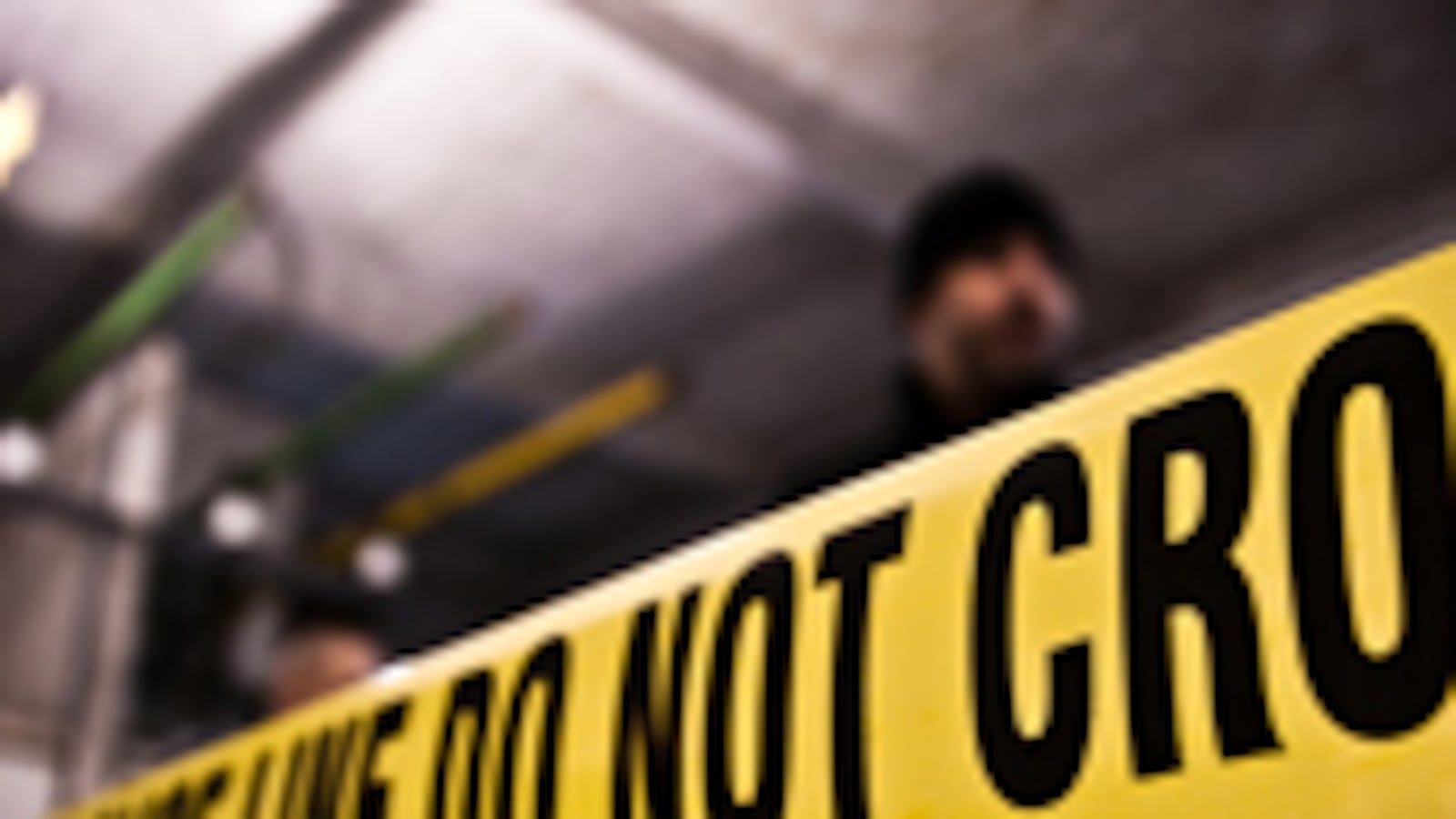 articles/2010/08/31/crime-novels/peacock-social-novel_123685_r0zel5