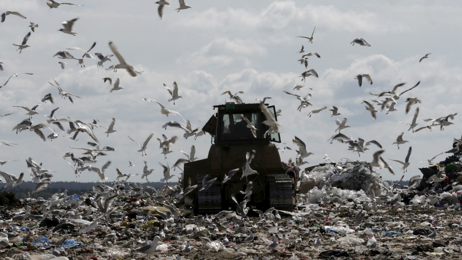 cheats/2015/09/21/2x-as-much-trash-in-landfills-as-thought/150921-landfill-cheat_q0oec0