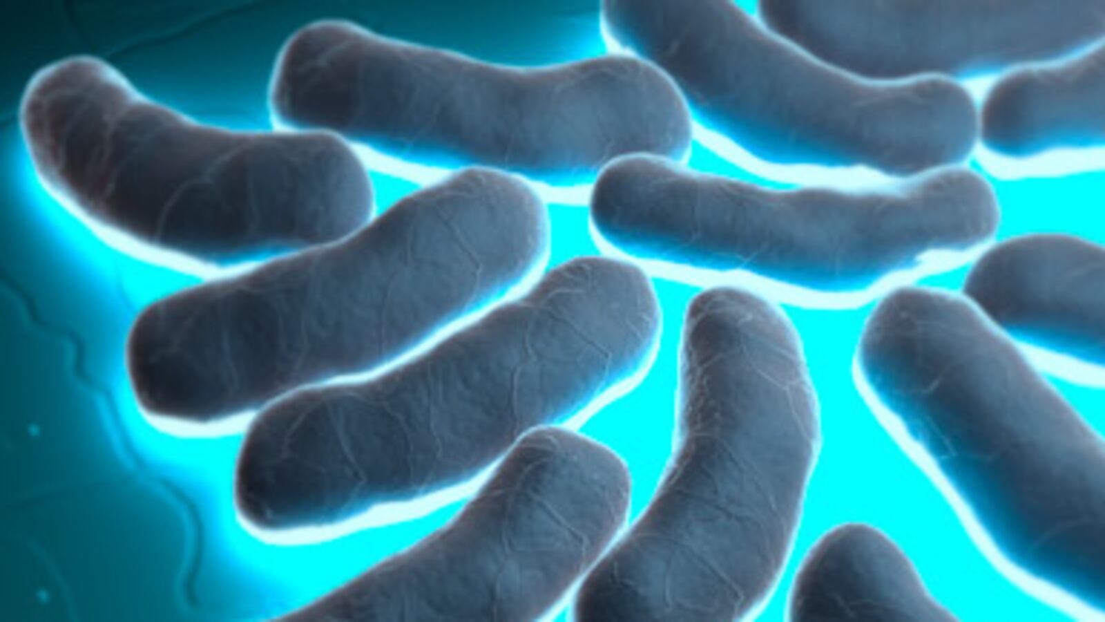 cheats/2011/06/03/e-coli-infections-grow/ecoli-crisis_bfr1jd