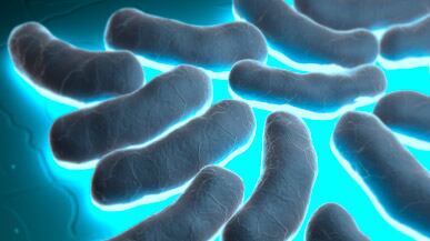 cheats/2011/06/03/e-coli-infections-grow/ecoli-crisis_bfr1jd