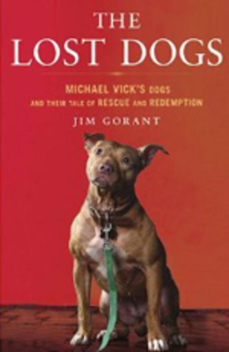 articles/2010/11/10/the-lost-dogs-and-the-dog-who-couldnt-stop-loving-review/book-cover---the-lost-dogs_pujppx