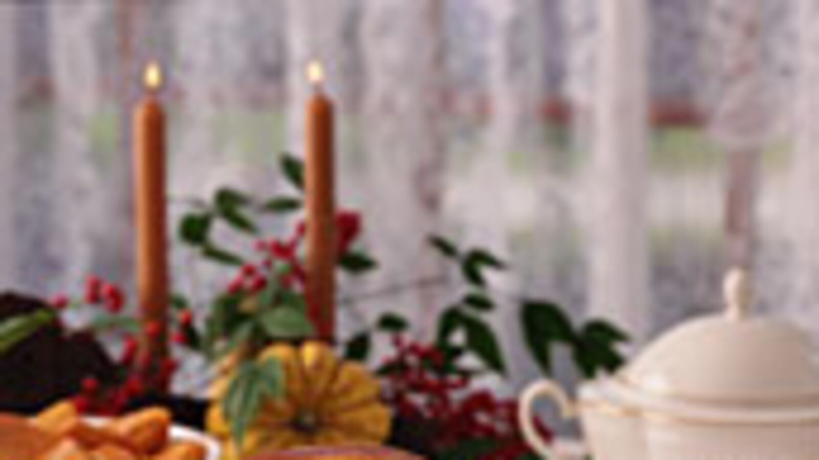 articles/2008/11/26/leftover-makeovers/thanksgiving-leftovers_5972_gwaxmq