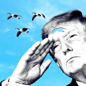 Donald Trump saluting a flock of geese