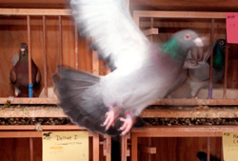 articles/2010/03/11/americas-25-craziest-cities/tdb-crazy-cities---oklahoma-city_mvvbd9