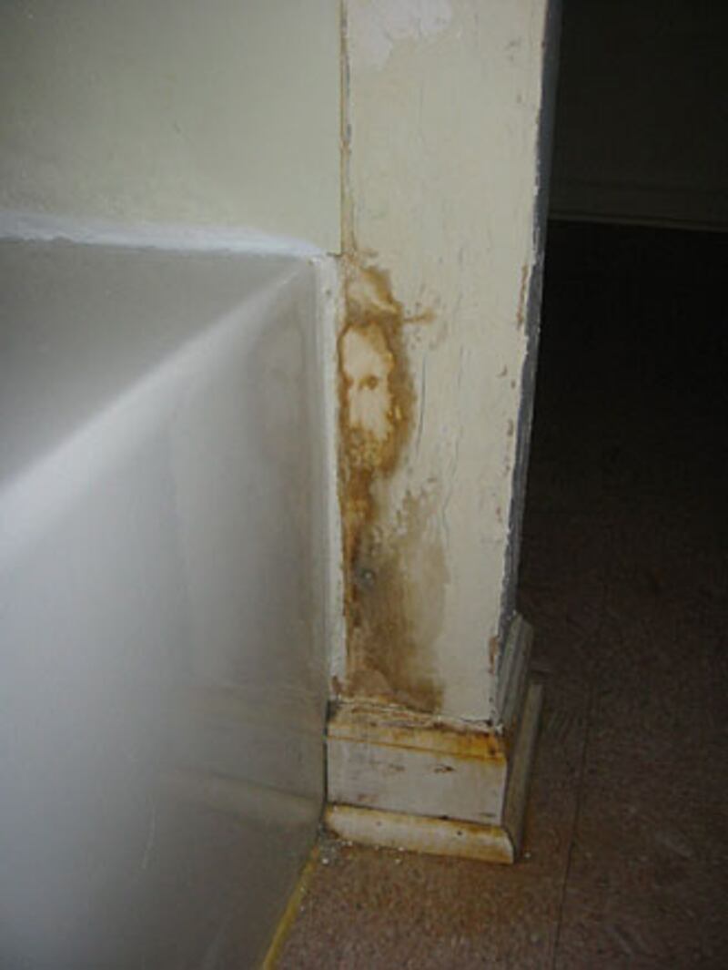 galleries/2009/11/30/father-son-and-the-holy-toast/religious-sightings-15_h4at8j