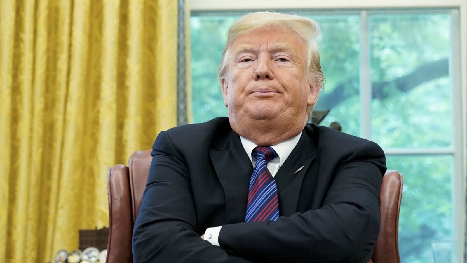 trumppppwrewr_jankip