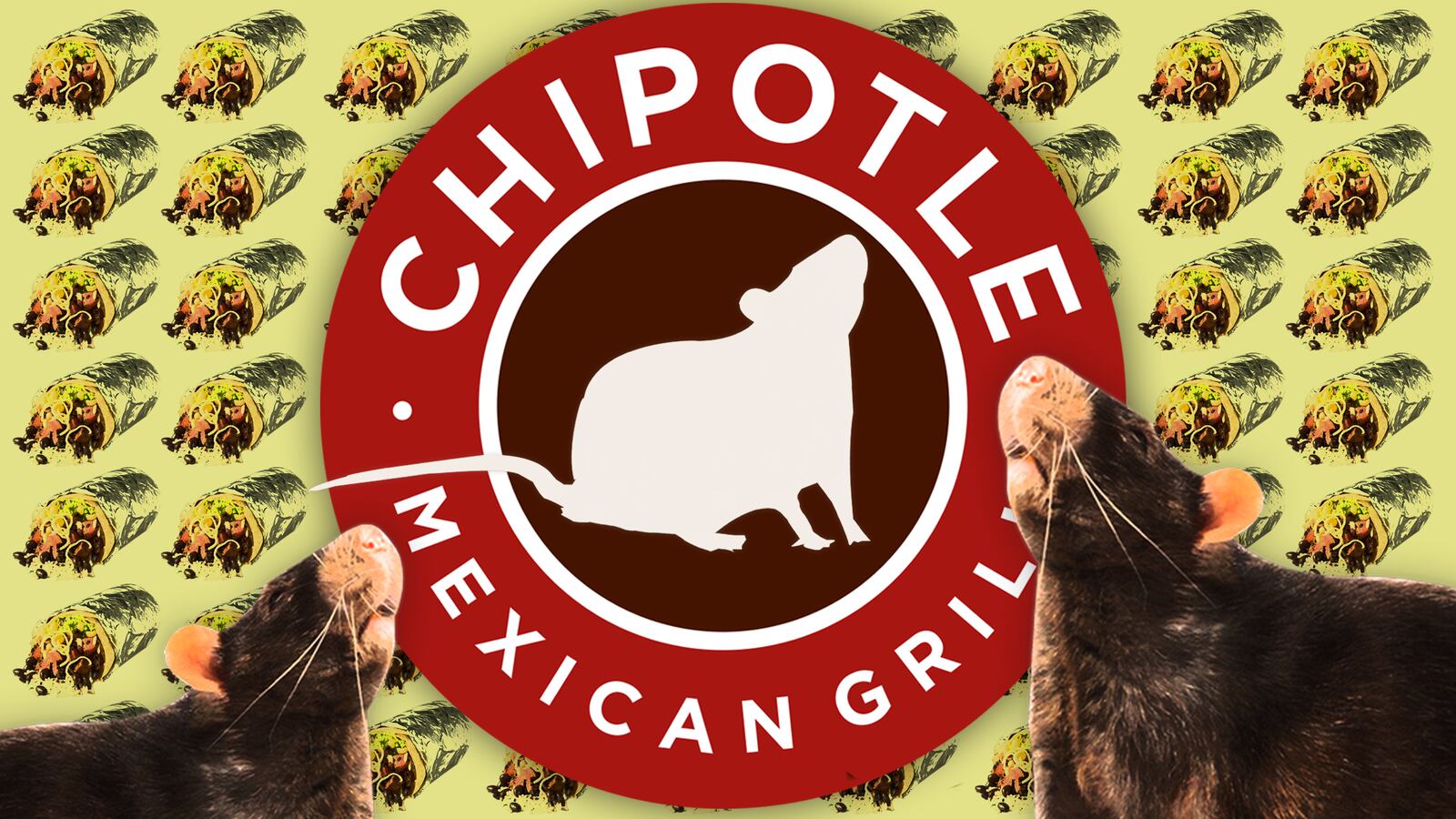 basu-burrito-illo-hero1_lk39az