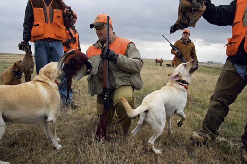 galleries/2010/06/28/most-armed-states/most-armed-states---south-dakota_f92ocp