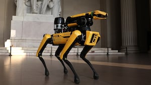 boston dynamics robot