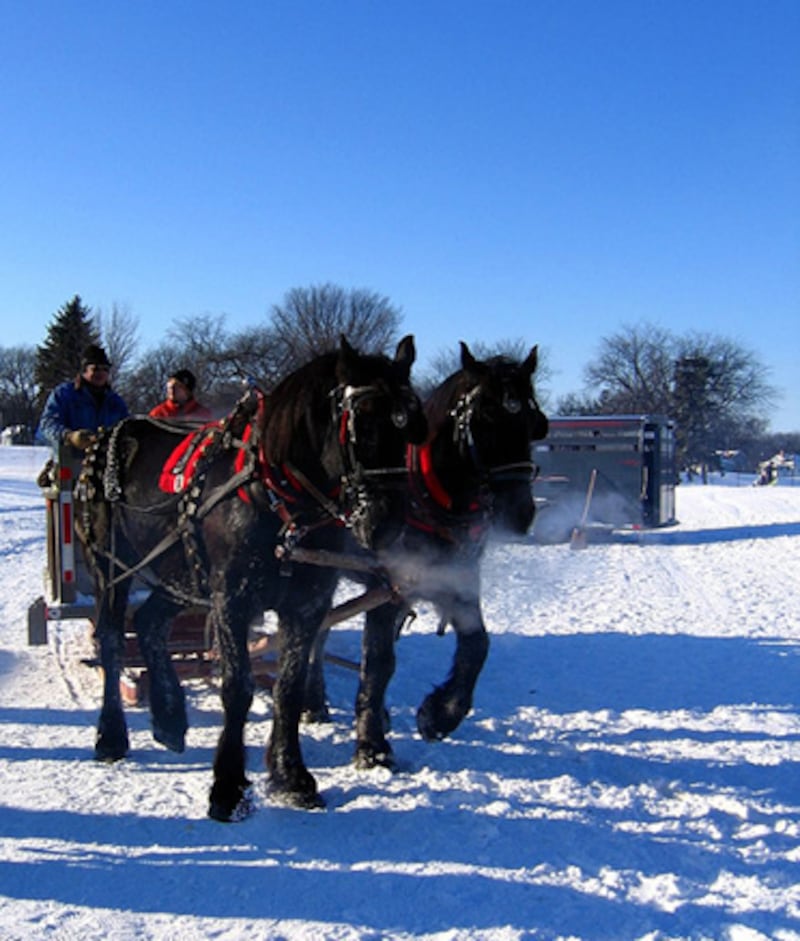 galleries/2010/12/10/america-s-25-coldest-cities/coldest-cities---grand-forks_opmlpl