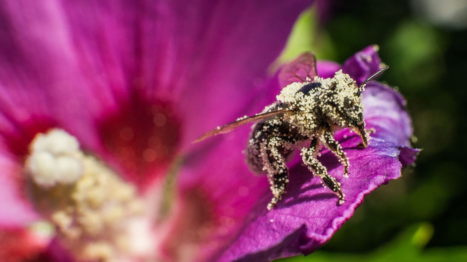 GettyImages-596247442_r2q7hg