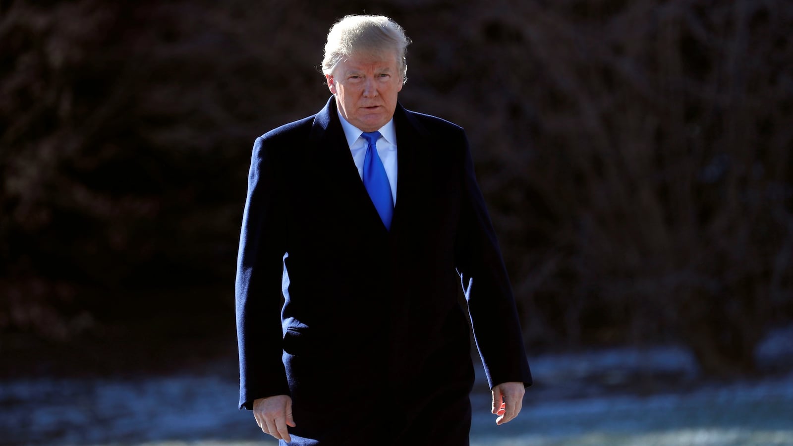 180106-trump-smart-genius-stable-cheat_vgl11x