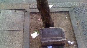 articles/2013/02/08/argentina-doesn-t-want-the-truth-ctd/argentina-doesn-t-want-the-truth-ctd-image_thptga