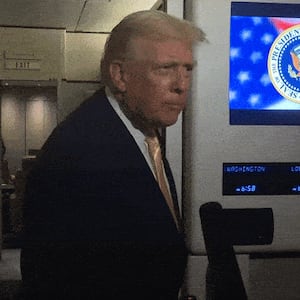 Donald Trump GIF