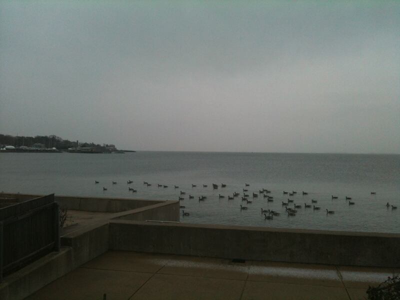 articles/2012/12/25/the-view-from-my-window/the-view-from-my-window-body-inlineimage_c3n96y