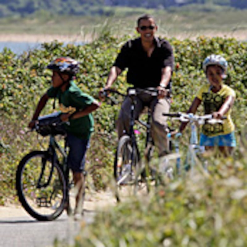 articles/2009/08/29/my-marthas-vineyard-close-encounter/williams-obama-vineyard_46044_pftirr