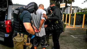 Immigration and Customs Enforcement agents apprehend an an illegal immigrant