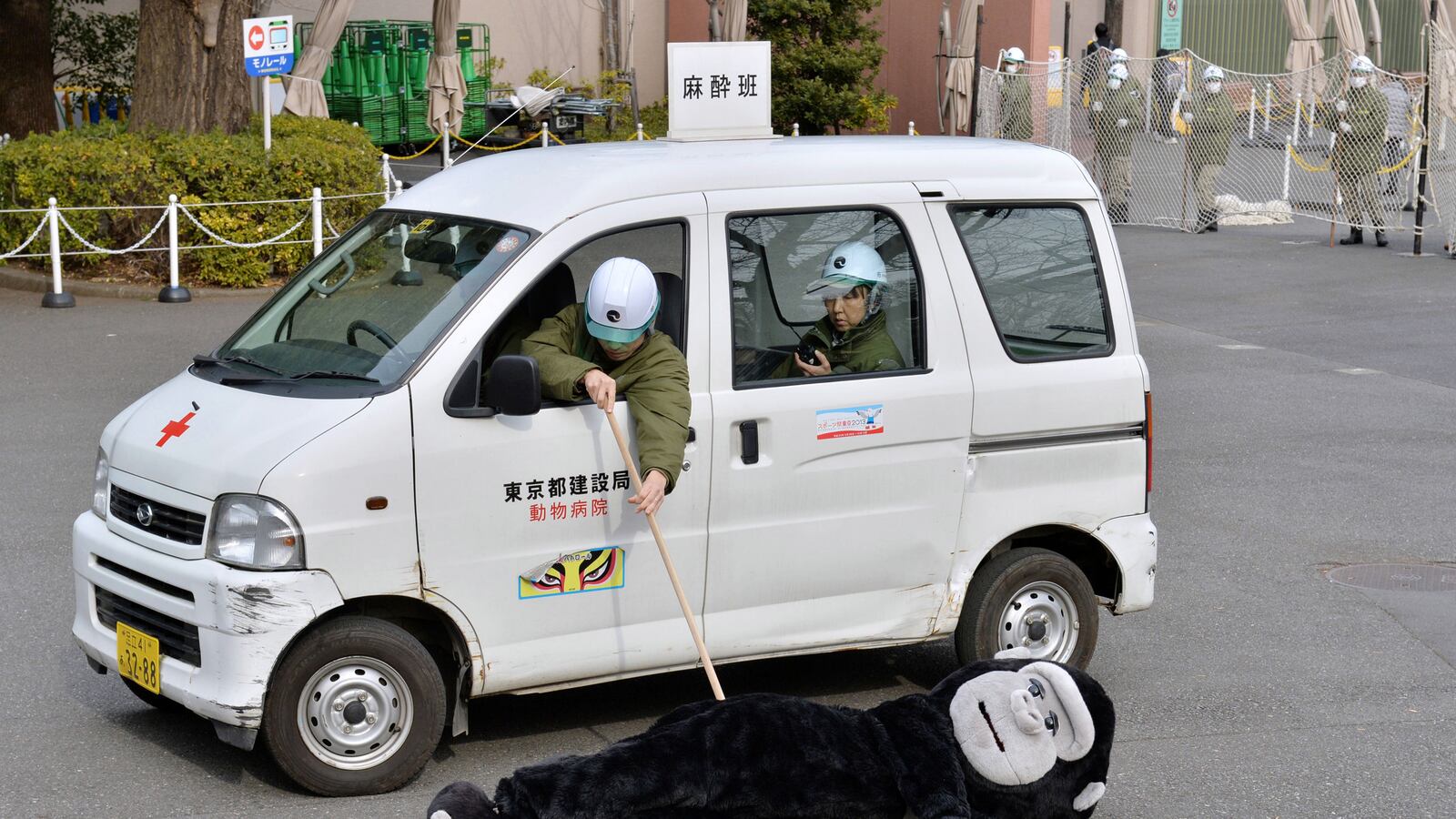 articles/2014/02/06/how-to-catch-a-depressed-gorilla-japanese-style/140206-teeman-gorilla-tease_jeld7a