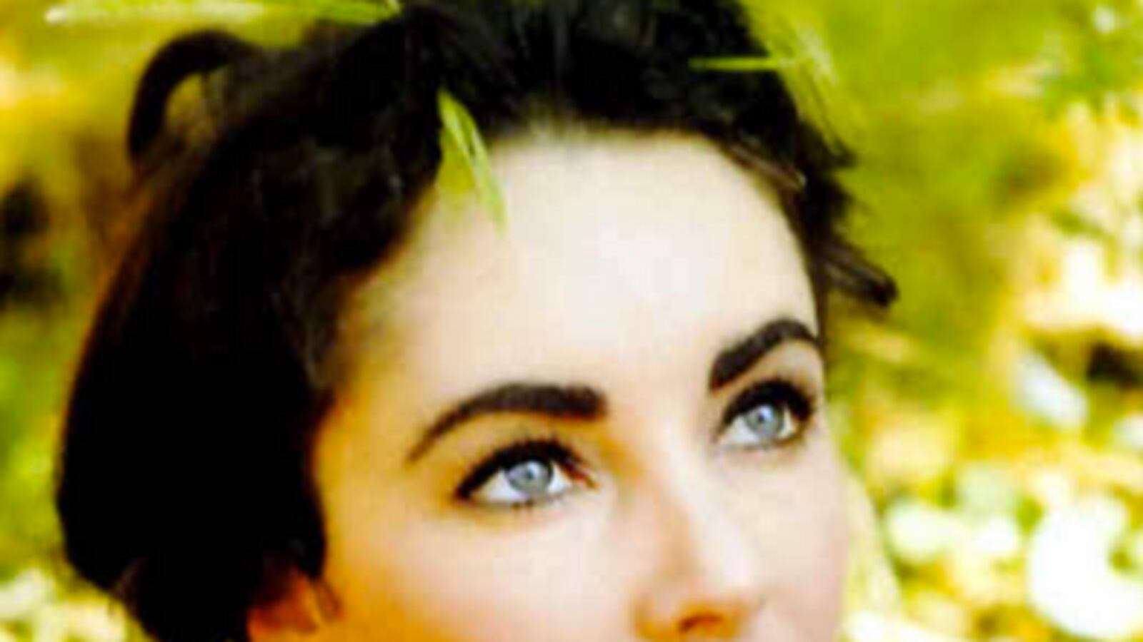 articles/2012/11/13/top-ten-military-sex-scandals-part-three/Screen_Shot_2012-11-13_at_6.14.53_PM_biaejv