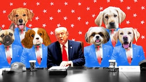 Donald Trump and dogs