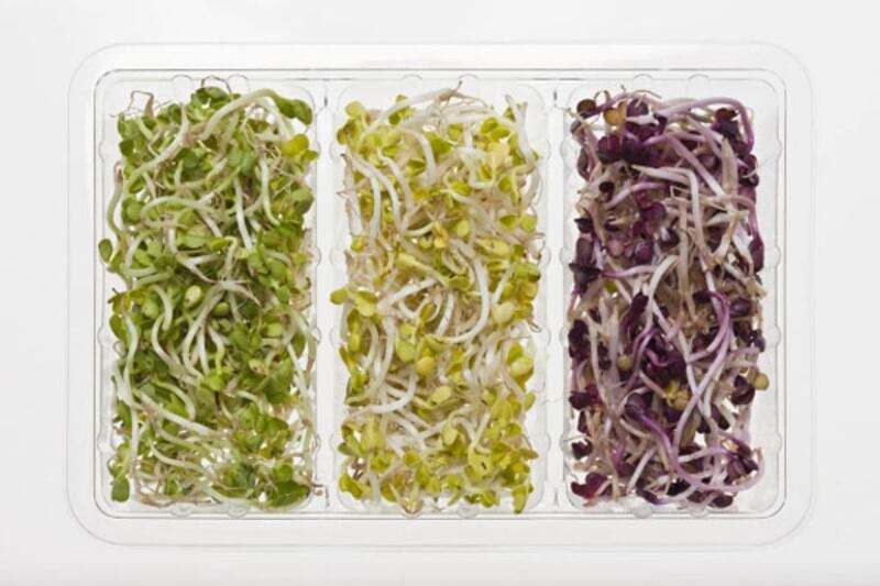 galleries/2011/12/30/most-effective-diets-for-2012-photos/most-effective-diets-2012-tease_v6mx6r