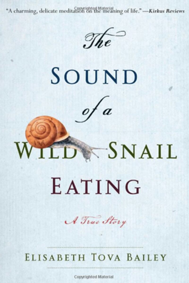 galleries/2011/07/23/summer-reading-junot-diaz-to-kathryn-stockett-pick-their-favorite/the-sound-of-a-wild-snail-eating_ymsrqv