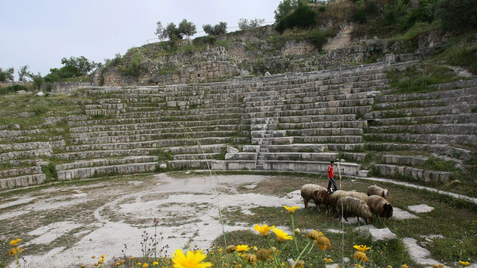 articles/2013/03/08/settlers-dump-their-sewage-on-palestinian-land/sebastia-openz_iqkrqb