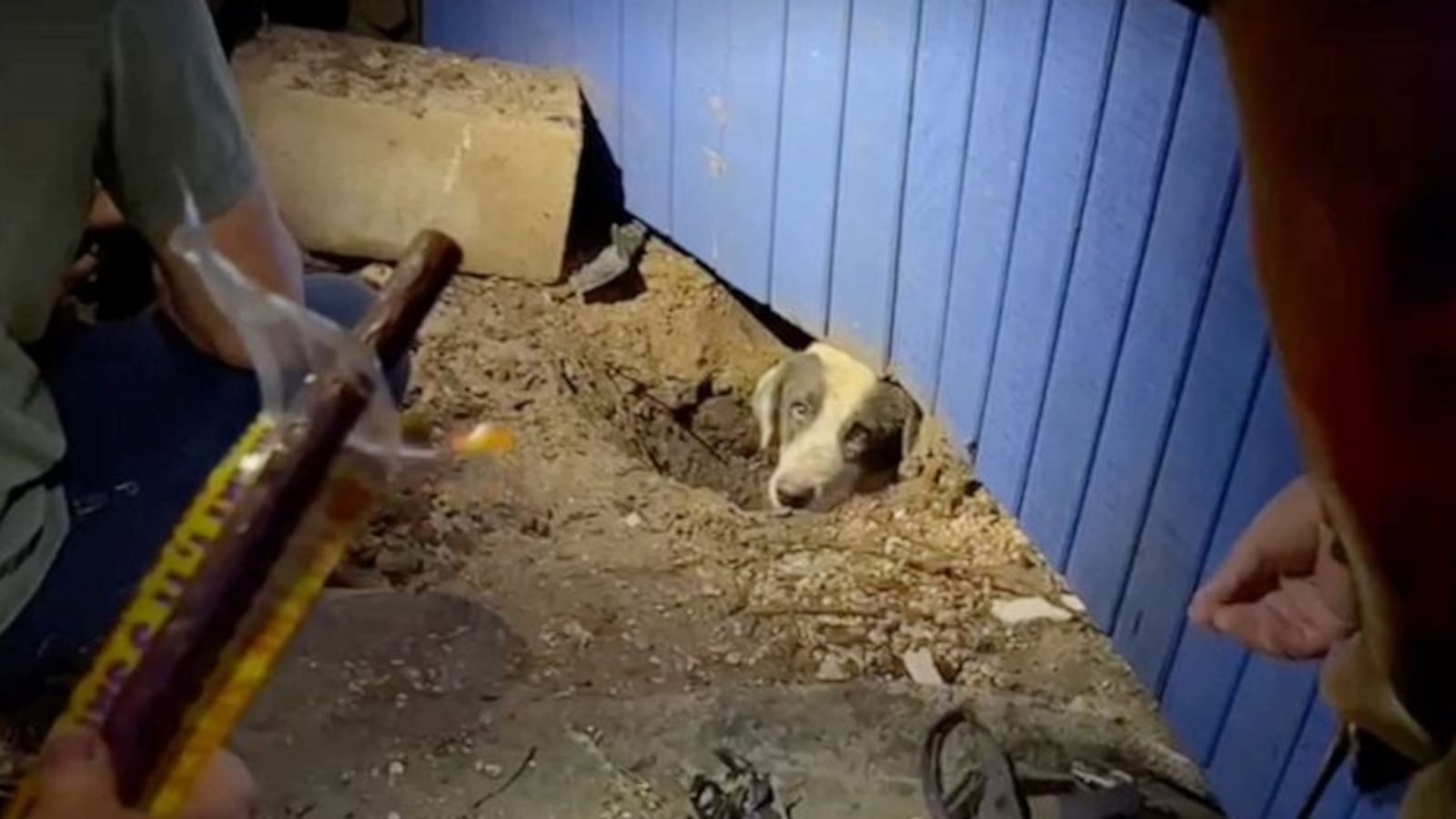 dog-tornado-rescue-abc-lv-2305145_1684076986127_hpMain_16x9_992_imvapy