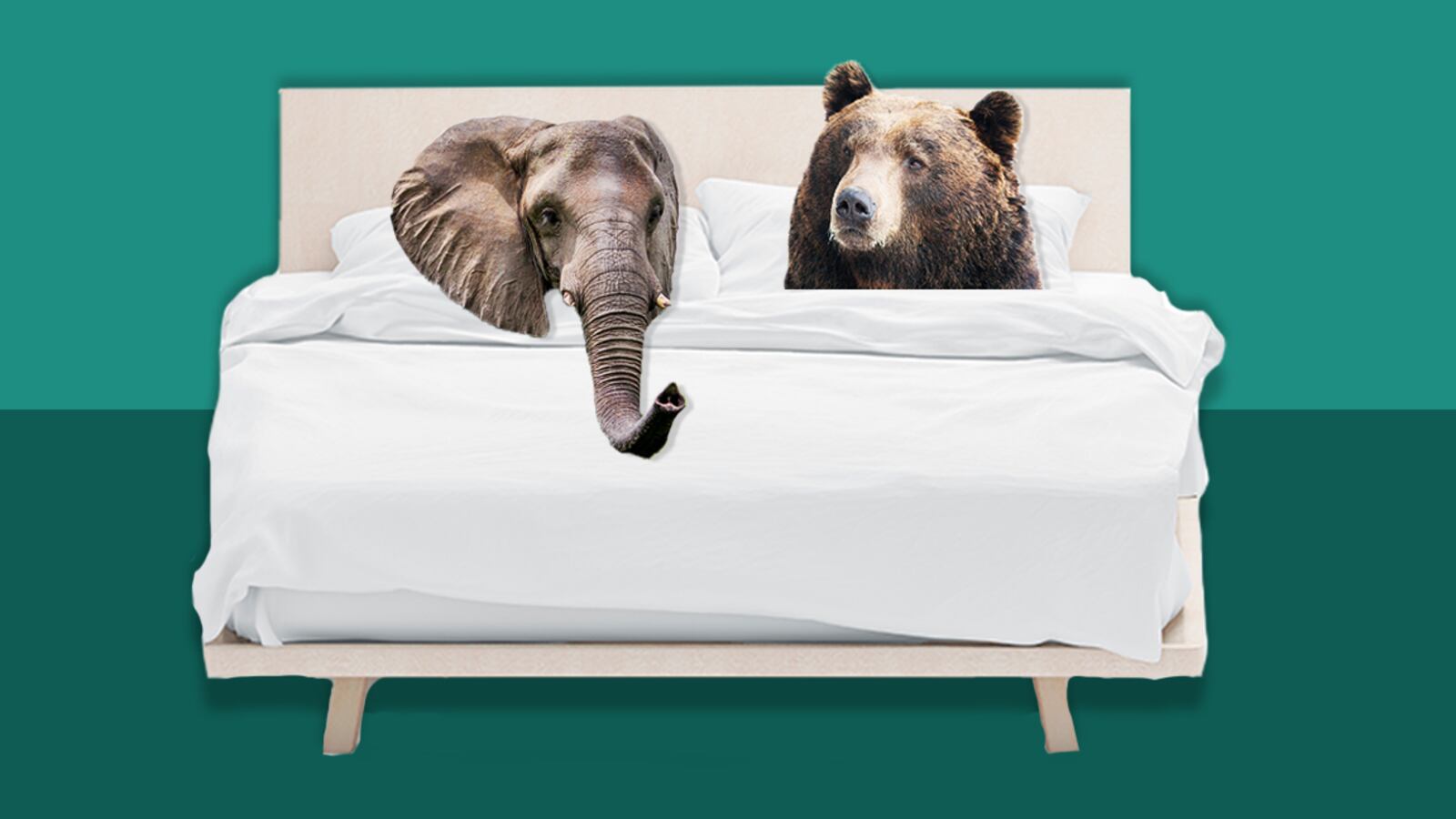 191125-Davis-Republicans-Play-Putin-Game-tease1_zw0ddm