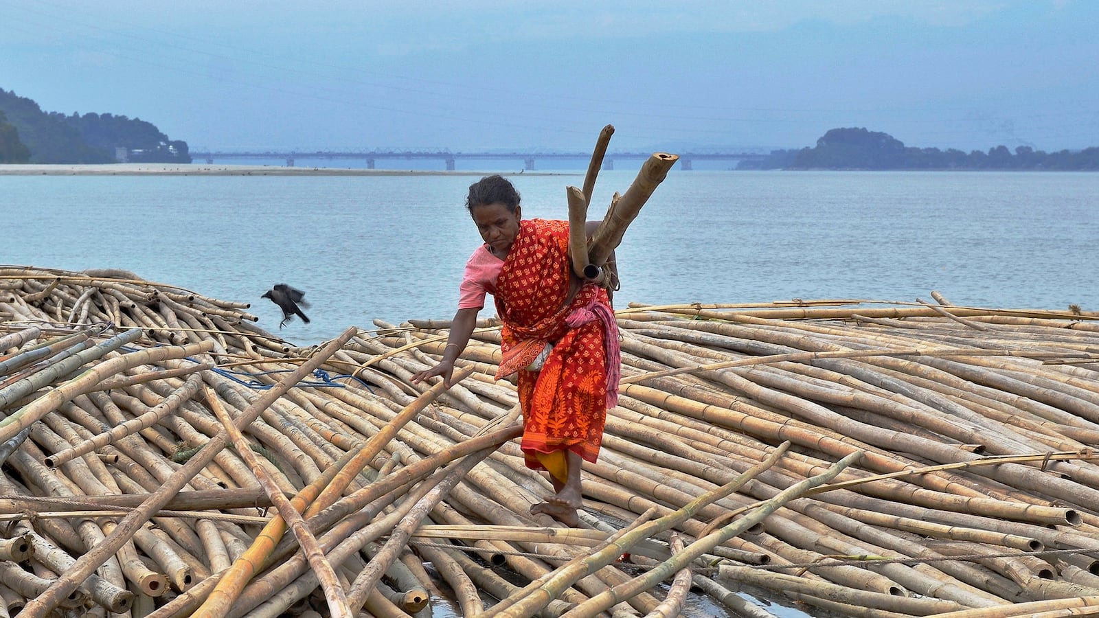 galleries/2016/01/04/photo-of-the-day/1611014-photo-of-the-day_xojqid