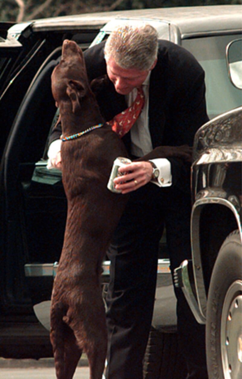 galleries/2009/04/12/presidential-pets/presidential-pets---bill-clinton_yau5ha