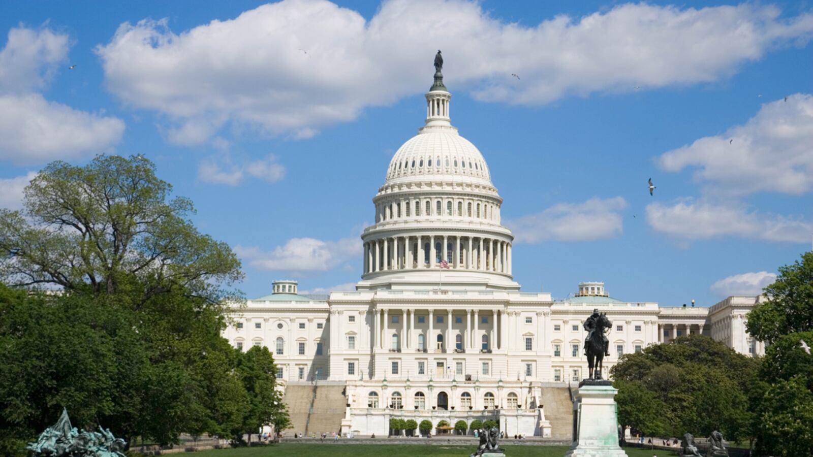 cheats/2011/07/22/senate-rejects-cut-cap-balance/senate-cheat_us9e45