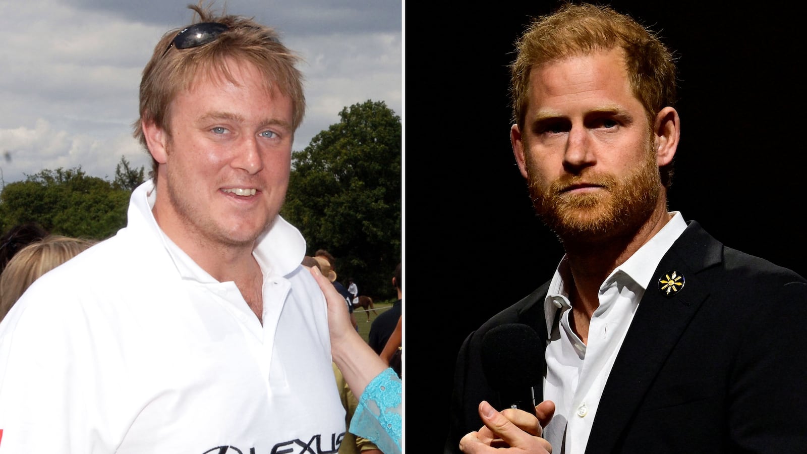 Alex Rayner, Prince Harry split image